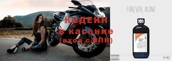 твердый Арсеньев