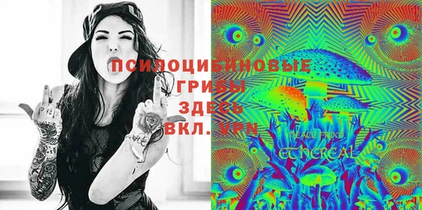 прущие крисы Белая Холуница