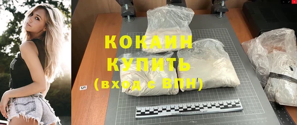 твердый Арсеньев